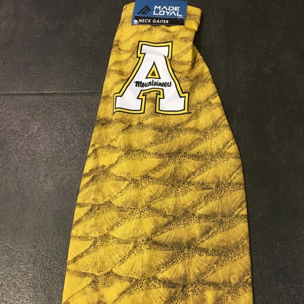 Collegiate Teams Neck Ties